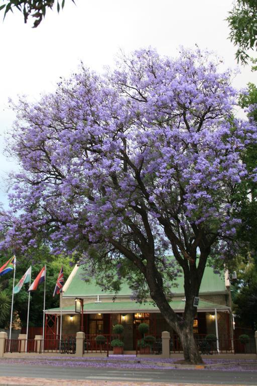 88 Baron Van Reede Guesthouse Oudtshoorn Εξωτερικό φωτογραφία